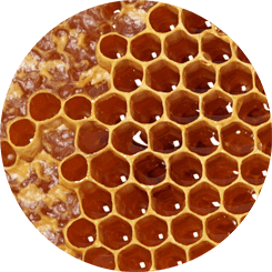 Honeycomb