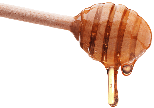 Wooden Honey Dipper with WIld Honey Box honey dripping from it